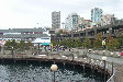 P0001369.JPG
