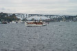 P0001426.JPG