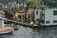 P0001428.JPG