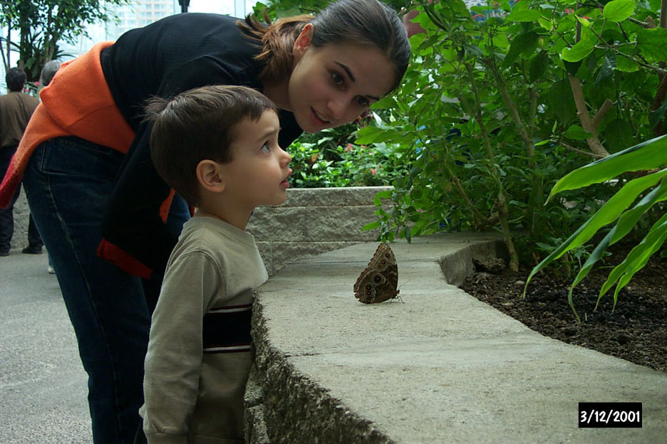 P0000741.JPG