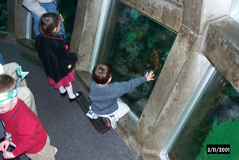 P0000721.JPG
