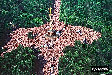 P0003103.JPG