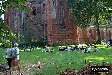 P0003138.JPG