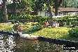 P0003206.JPG