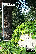 P0003244.JPG