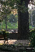 P0003245.JPG