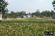 P0003272.JPG