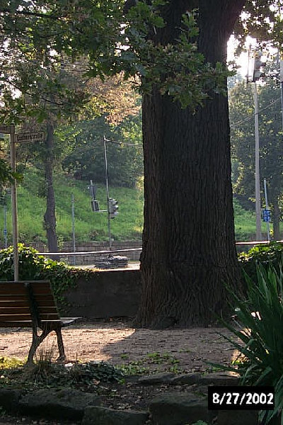 P0003245.JPG