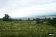 P0003461.JPG