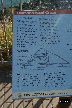 P0002573.JPG