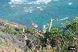 P0002580.JPG