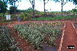P0002614.JPG