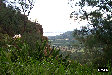 P0002662.JPG