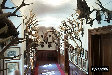P0002953.JPG