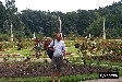 P0002965.JPG
