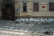P0003047.JPG