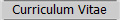 Curriculum Vitae